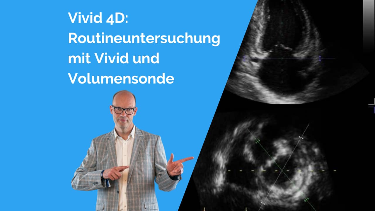 Vivid 4D: Schritt für Schritt von der Bildaufnahme zur kontrollierten Herzanalyse 1 Vivid4D - Vivid mit Volumensonde